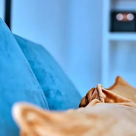 Dada Coliving & By Serendipia Turismo